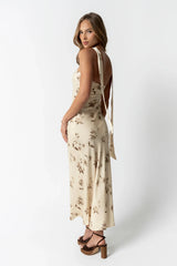 Kortnee Sleeveless Maxi Dress